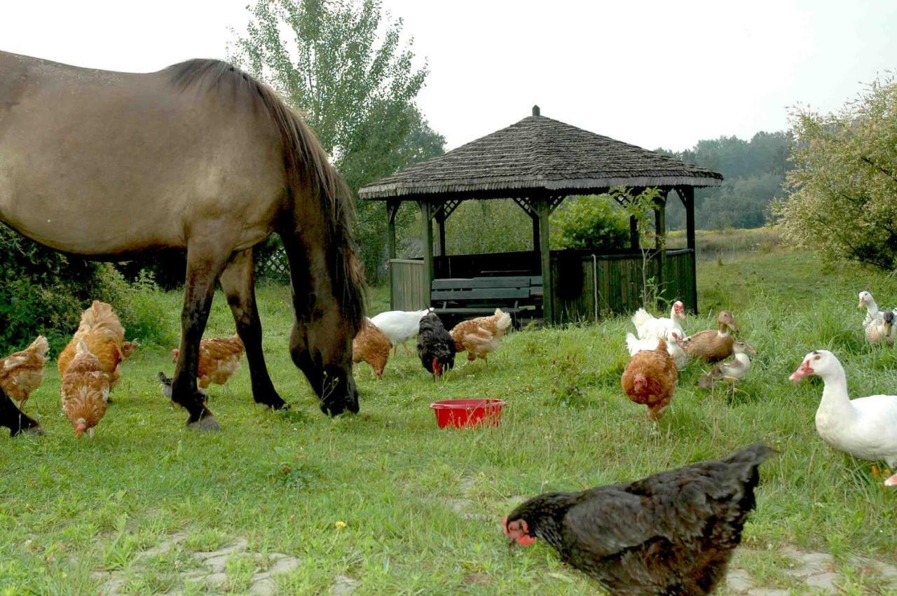 Wodne Ogrody Villa Dobczyce Ngoại thất bức ảnh